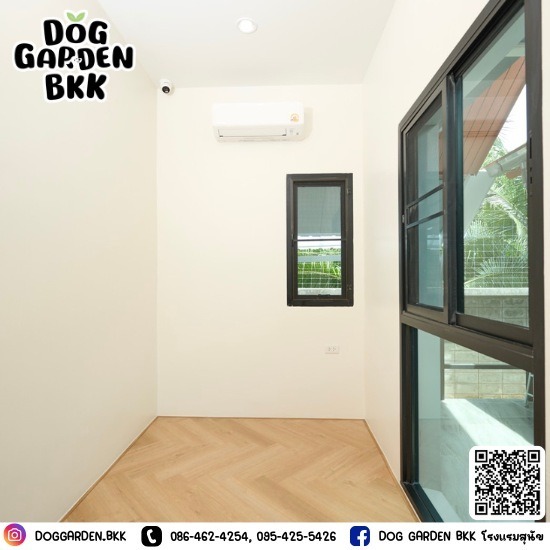 dog hotel bkk