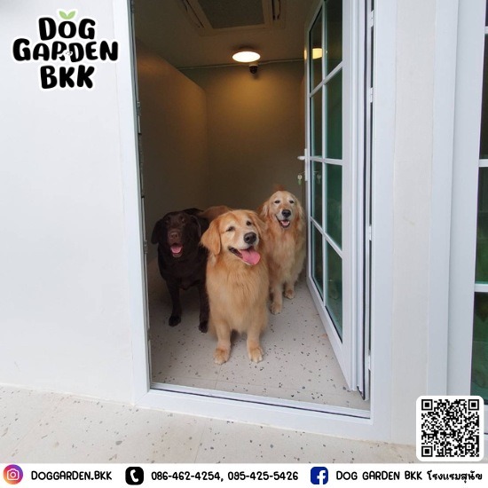 โรงแรมสุนัข พุทธมณฑล - รับฝากเลี้ยงสุนัข - DOG GARDEN BKK