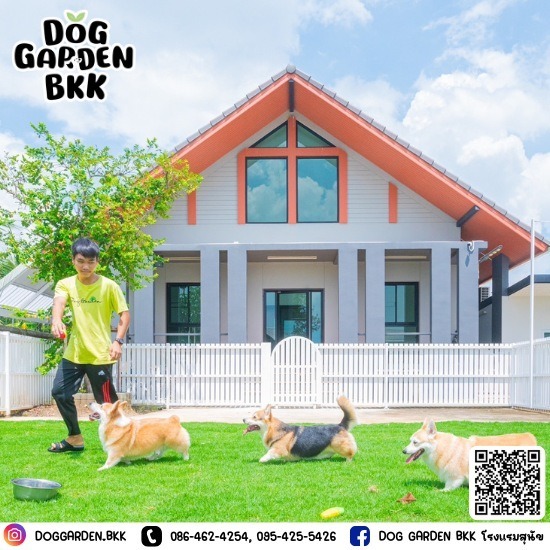 โรงแรมสุนัขไม่ขังกรง - รับฝากเลี้ยงสุนัข - DOG GARDEN BKK โรงแรมสุนัขไม่ขังกรง - รับฝากเลี้ยงสุนัข - DOG GARDEN BKK